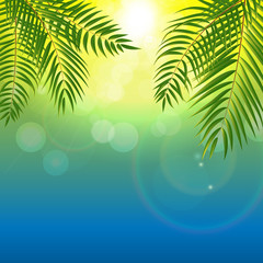 Obraz na płótnie Canvas Beautifil Palm Tree Leaf Silhouette Background Vector Illustrat