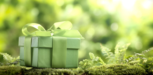 Green gift box on moss