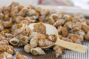 Brugge, Belgium - August 10, 2016: Heap of cooked sea snails on sale at public market. Beige scoop in the photo. Brown dominant color. 