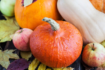 Fresh autumn pumpkins