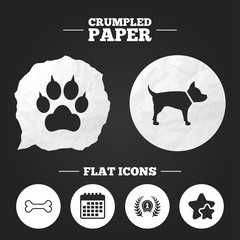 Pets icons. Cat paw with clutches sign.