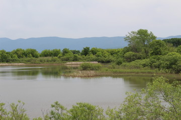 природа Приморья