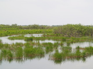 природа Приморья