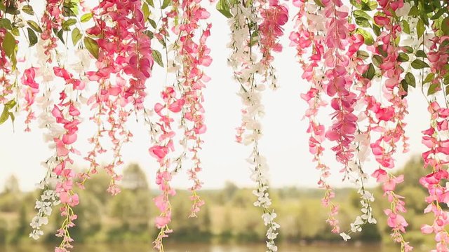 Flowers against the backdrop of the river. Delicate flowers hang down