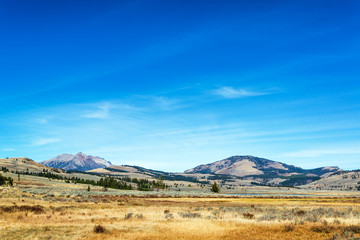 Fototapeta premium Yellowstone Landscape View