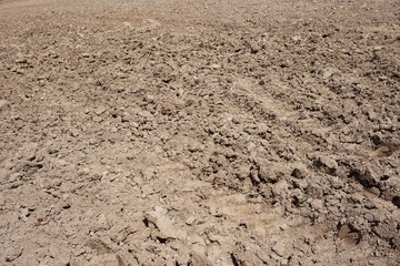 prepare soil cultivation