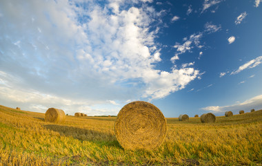 summer in the fields, the harvest finished, sheaves of straw bal