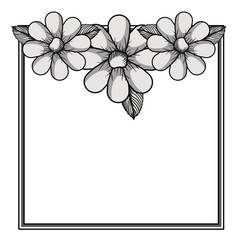 floral frame square decoration isolated vector illustration design