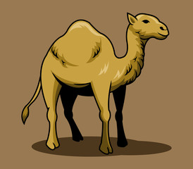 A vector illustration of brown camel