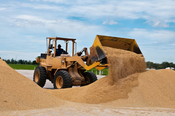 Skid steer loaders moving paddy