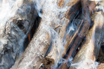Smoke from a fire erupted in nature
