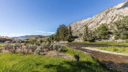 Green trees growing on the rocky river bank. Dark rough river. Scenic landscape at Boiling River Trail, Yellowstone National Park, Wyoming