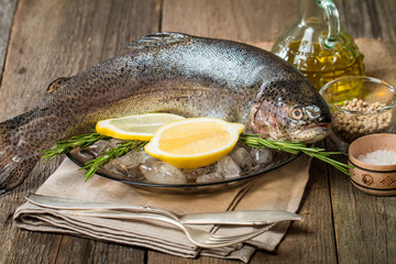 Fresh trout on plate with ice