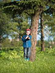 Little boy in a cap and a denim dress standing on the grass and keeps pine cones on blurred background forest