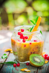 Cocktail kiwi fruit orange red currants