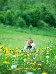 Toned image of a little boy sitting in a field and holding in his hand a bouquet of dandelions on a blurred background of greens