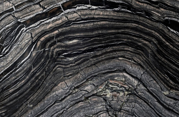 Black Wooden Stone
