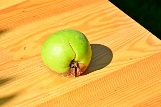 Faulender Apfel mit wei&szlig;en Schimmel auf einem Tisch