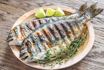 Grilled Dorade Royale Fish