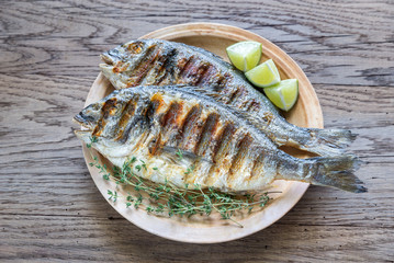 Grilled Dorade Royale Fish