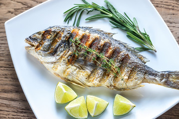 Grilled Dorade Royale Fish on the plate