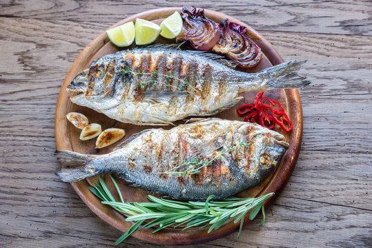 Grilled Dorade Royale Fish on the wooden board