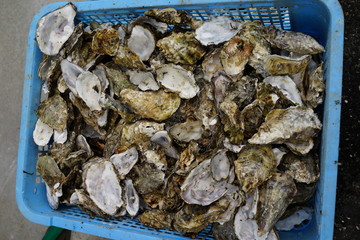 牡蠣　牡蠣の殻　焼き牡蠣　海の幸　シーフード　