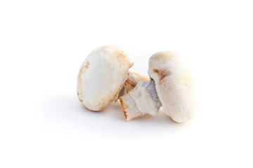 Champignons