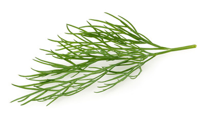 fresh dill