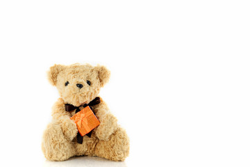Teddy bear holding gift box isolated on white background,with co