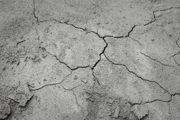 Drought. Backgrounds