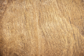 Texture of bark wood use as natural background