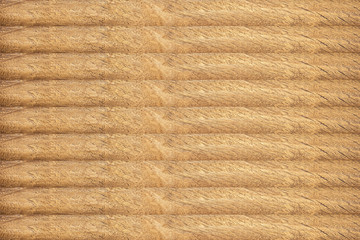 Texture of bark wood use as natural background