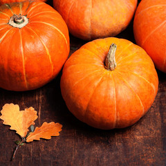 Autumn pumpkins on wooden board. Assortment of Pumpkin Stalks
