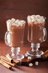 hot chocolate with mini marshmallows cinnamon winter drink
