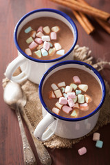 hot chocolate with mini marshmallows cinnamon winter drink