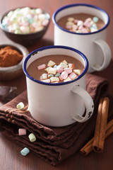 hot chocolate with mini marshmallows cinnamon winter drink
