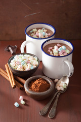 hot chocolate with mini marshmallows cinnamon winter drink