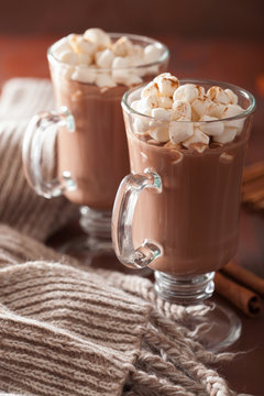 hot chocolate with mini marshmallows cinnamon winter drink