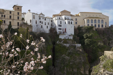 Fototapeta na wymiar Ronda on the cliffs