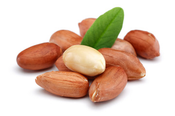 Obraz premium Peanut