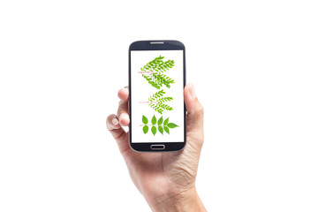 man hand taking picture with smart phone isolated on white