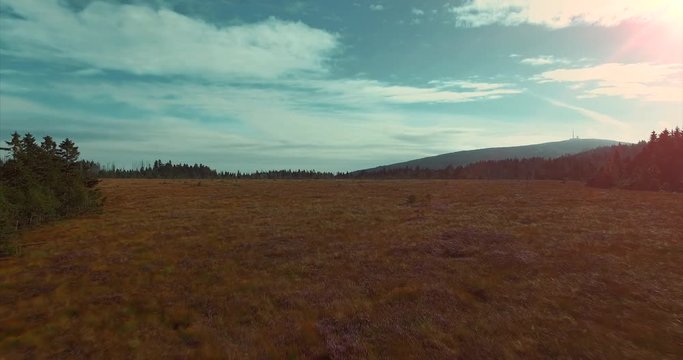 Harz Torfmoor Brocken