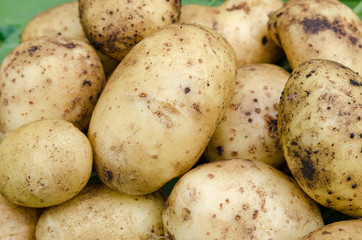Potatoes vegetables garden