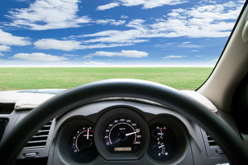 Car dashboard speeds while on green grass and sky.