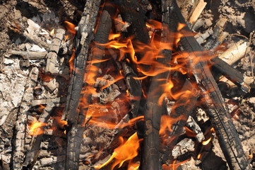 Burnig camp fire