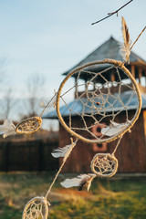 dreamdcatcher hanging from a tree in a field at sunset
