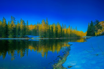 Winter evening landscape