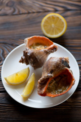 Julienne made of rapana and served in its shells, close-up