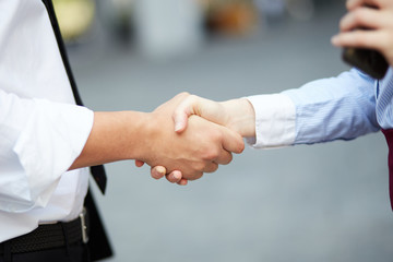 Obraz na płótnie Canvas business handshake